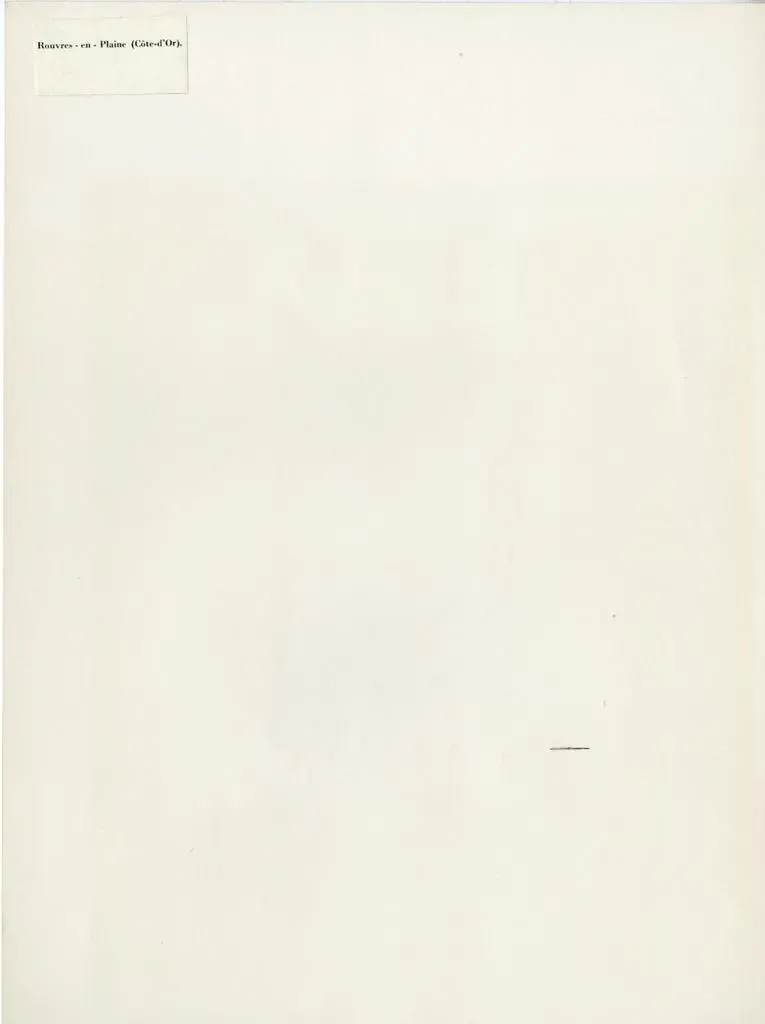 Anonimo , Anonimo - sec. XIV - San Giovanni Battista con l'agnello