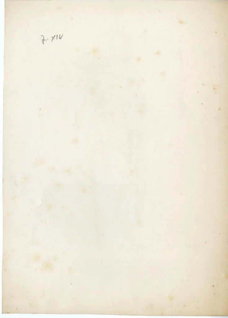 Anonimo , Anonimo francese - sec. XIV - Madonna con Bambino