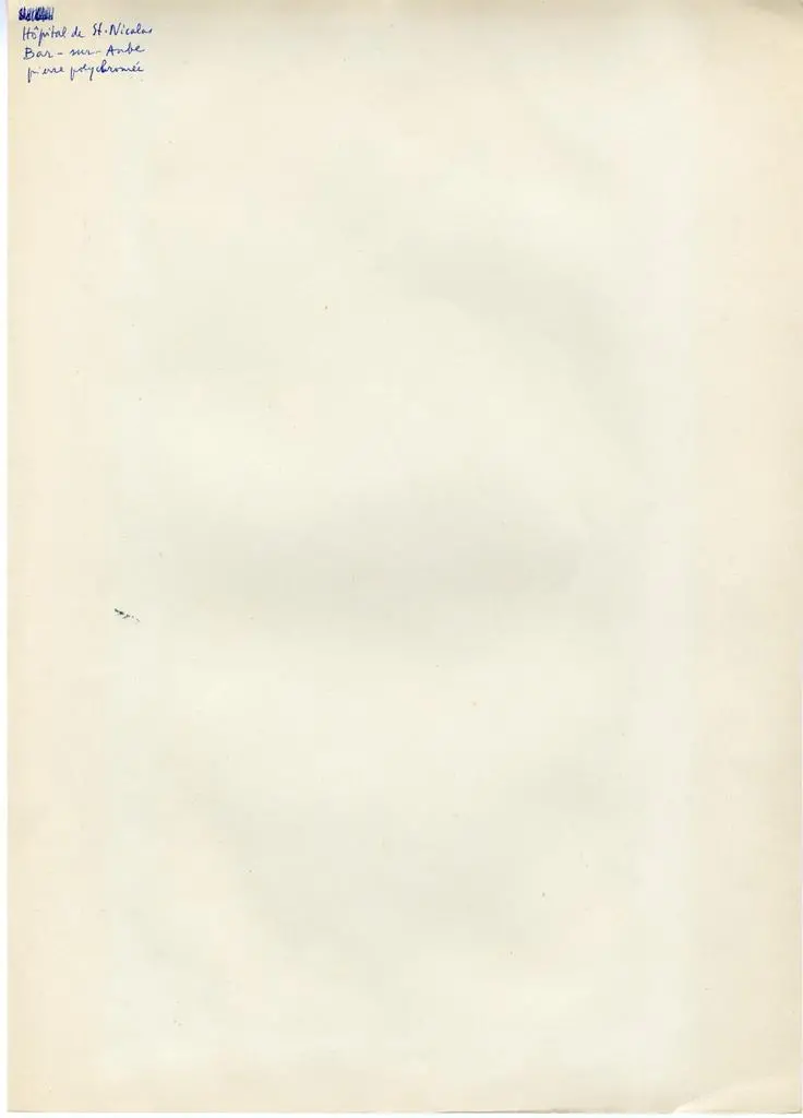 Anonimo , H&ocirc;pital de St. Nicolas, Bar-sur-Aube, pierre polychrom&eacute;e