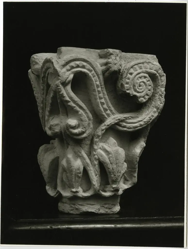 Anonimo , Anonimo - sec. XI - Motivi decorativi fitomorfi