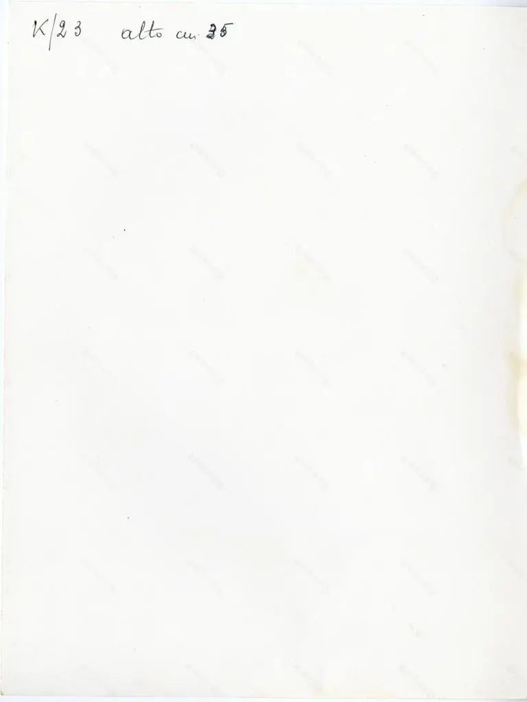 Anonimo , Anonimo - sec. XI - Motivi decorativi fitomorfi