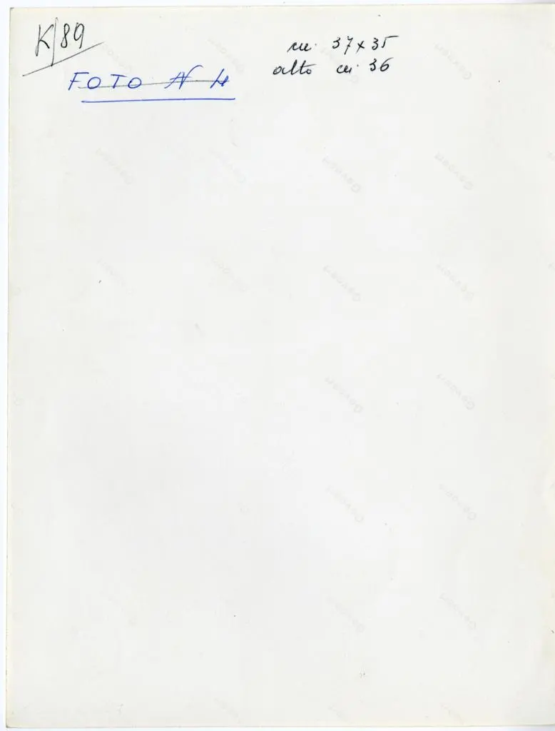 Anonimo , Anonimo - sec. XI - Motivi decorativi fitomorfi