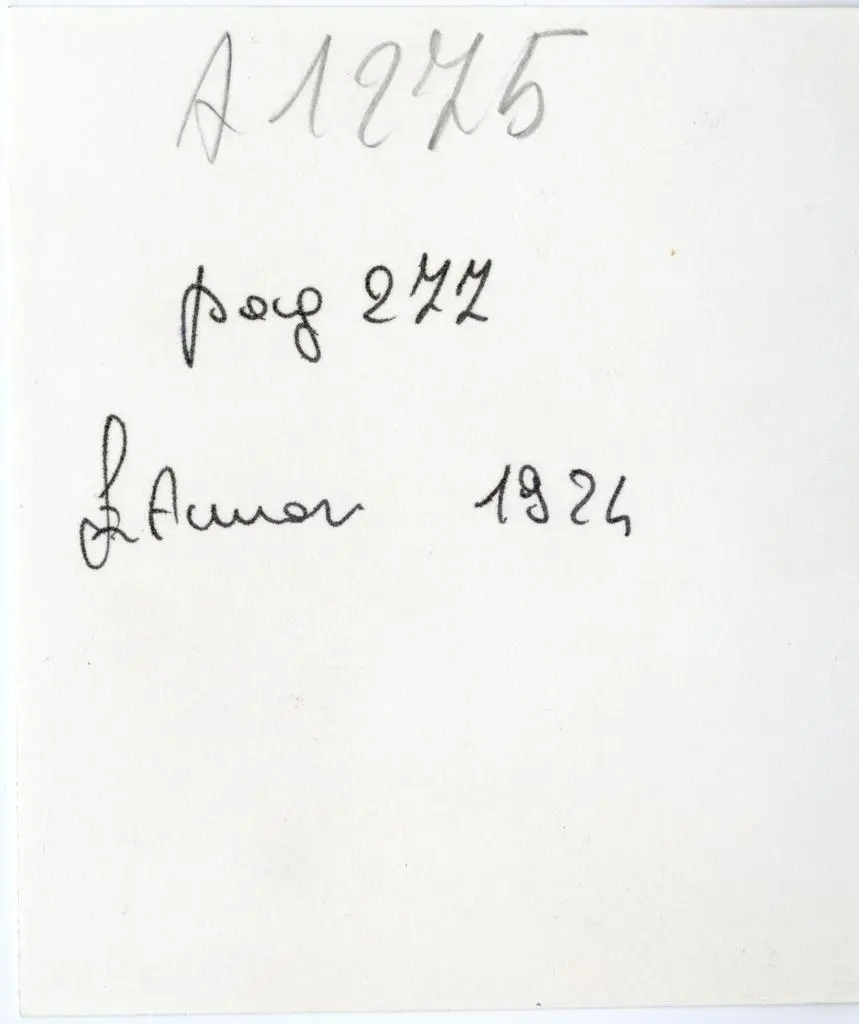 Anonimo , Chapiteau du narthex de l'&eacute;glise de Chamali&egrave;res (Xe s.) (CL. Br&eacute;hier).