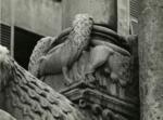 Università di Pisa. Dipartimento di Storia delle Arti , Antelami Benedetto - sec. XII - Leone stiloforo, particolare del basamento soprastante