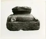 Anonimo sec. XII , Motivo decorativo vegetale