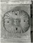 Anonimo , Anonimo - sec. XII/ XIII - Motivo decorativo vegetale