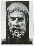 Anonimo dell'Italia settentrionale sec. XIV , Testa d'uomo con barba