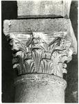 Anonimo sec. XII , Motivi decorativi fitomorfi