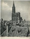 Anonimo sec. XIII/ XIV , Veduta della Cathédrale Notre-Dame de Strasbourg