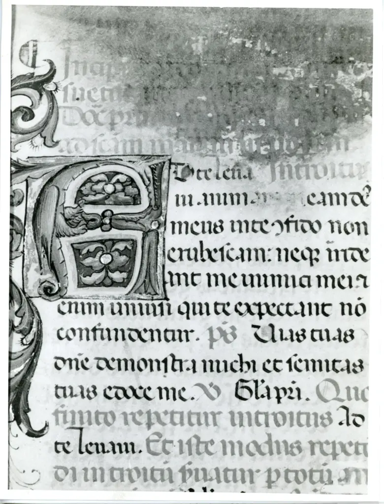 Anonimo italiano sec. XV , Iniziale A, Iniziale figurata, Motivo decorativo zoomorfo, Motivi decorativi vegetali