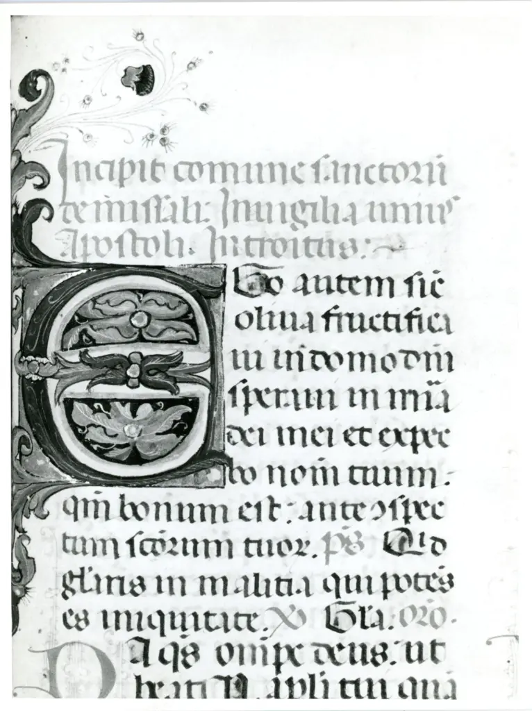 Universit&agrave; di Pisa. Dipartimento di Storia delle Arti , Anonimo italiano - sec. XV - Lucca, Biblioteca Capitolare Feliniana, Ms. 596. f. 278r, particolare , fronte