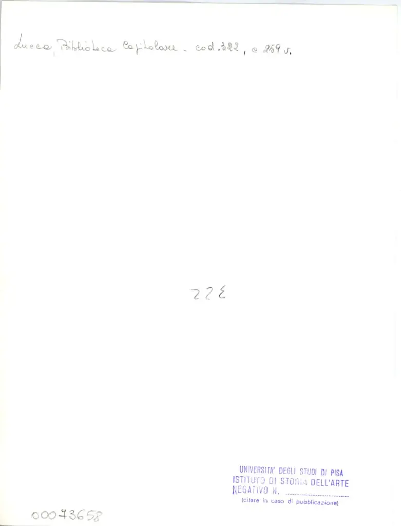 Universit&agrave; di Pisa. Dipartimento di Storia delle Arti , Anonimo italiano - sec. XIV - Lucca, Biblioteca Capitolare Feliniana, Ms. 322, f. 259v, particolare , retro