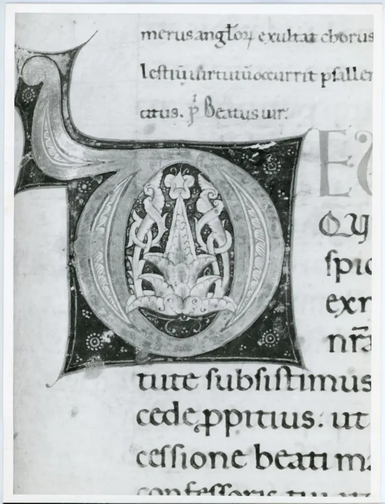 Anonimo italiano sec. XII , Iniziale D, Motivi decorativi fitomorfi