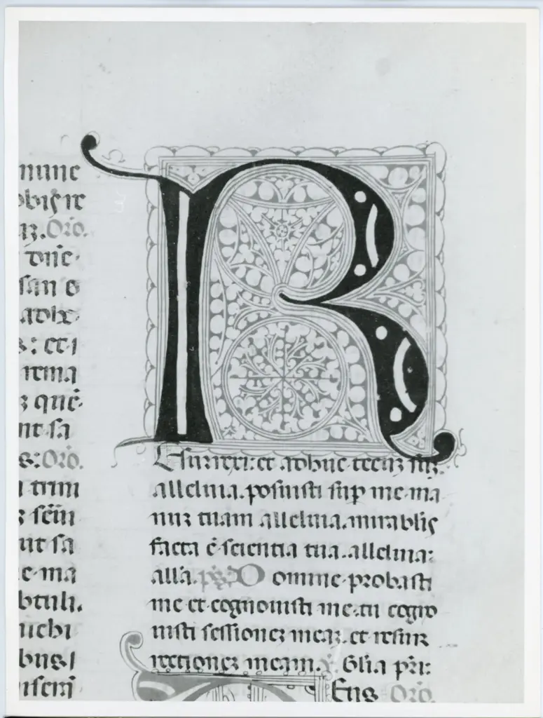 Anonimo italiano sec. XV , Iniziale R, Iniziale filigranata