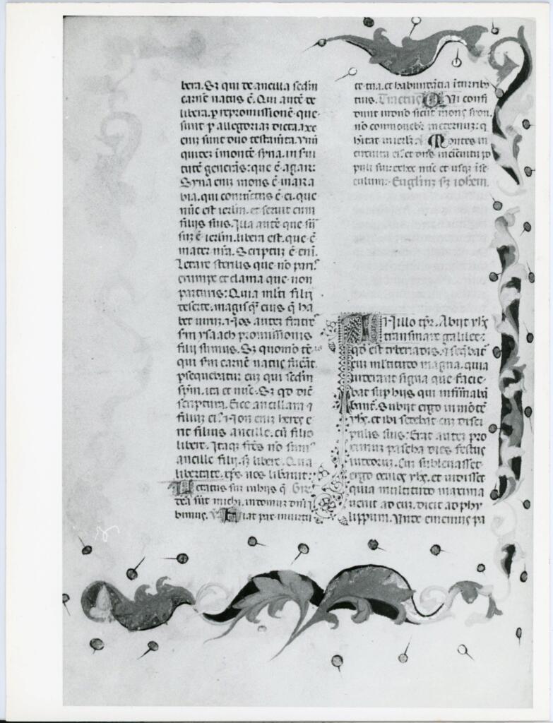 Anonimo italiano sec. XV , Pagina miniata, Fregio con motivi vegetali, Iniziale I, Iniziale filigranata