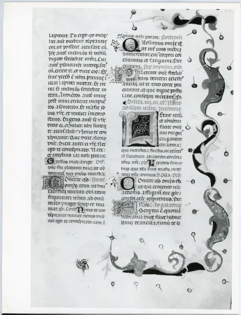 Anonimo italiano sec. XV , Pagina miniata, Fregio con motivi vegetali e animali, Iniziale L, Iniziale decorata