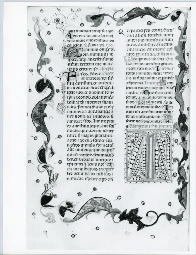 Anonimo italiano sec. XV , Pagina miniata, Fregio con motivi vegetali, Iniziale I, Iniziale filigranata