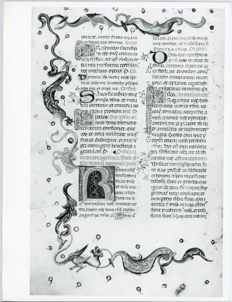 Anonimo italiano sec. XV , Pagina miniata, Fregio con motivi vegetali e animali, Iniziale R, Iniziale decorata