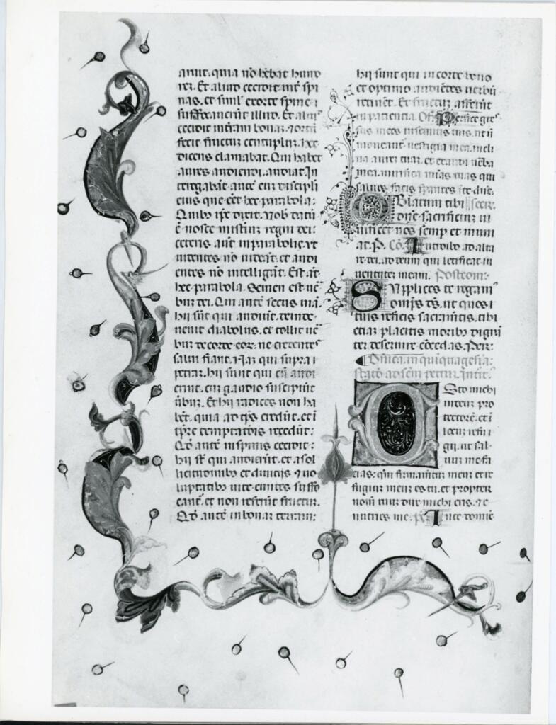 Anonimo italiano sec. XV , Pagina miniata, Fregio con motivi vegetali, Iniziale E, Iniziale decorata