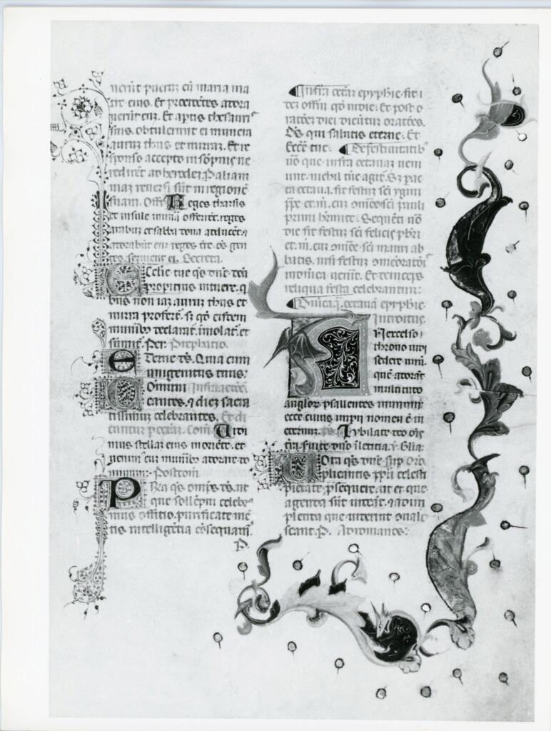 Università di Pisa. Dipartimento di Storia delle Arti , Anonimo italiano - sec. XV, prima metà - Lucca, Biblioteca Capitolare Feliniana, Ms. 594, f. 25r, intero , fronte