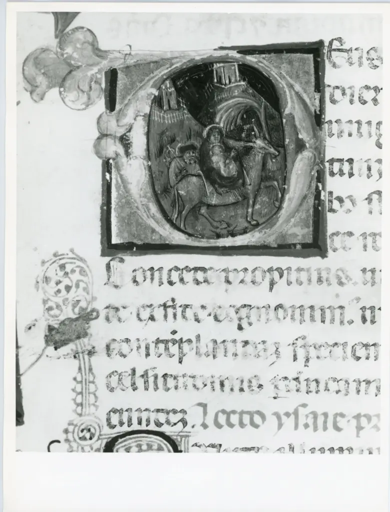 Universit&agrave; di Pisa. Dipartimento di Storia delle Arti , Anonimo italiano - sec. XV, prima met&agrave; - Lucca, Biblioteca Capitolare Feliniana, Ms. 594, f. 24r, particolare , fronte