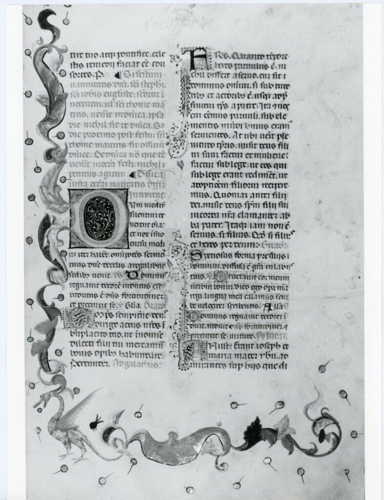 Anonimo italiano sec. XV , Pagina miniata, Fregio con motivi vegetali e animali, Iniziale D, Iniziale decorata, Motivo decorativo con animali fantastici