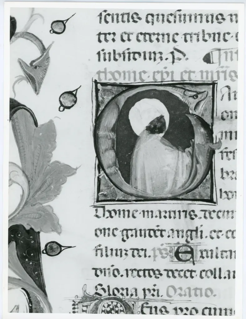 Universit&agrave; di Pisa. Dipartimento di Storia delle Arti , Anonimo italiano - sec. XV, prima met&agrave; - Lucca, Biblioteca Capitolare Feliniana, Ms. 594, f. 21v, particolare , fronte