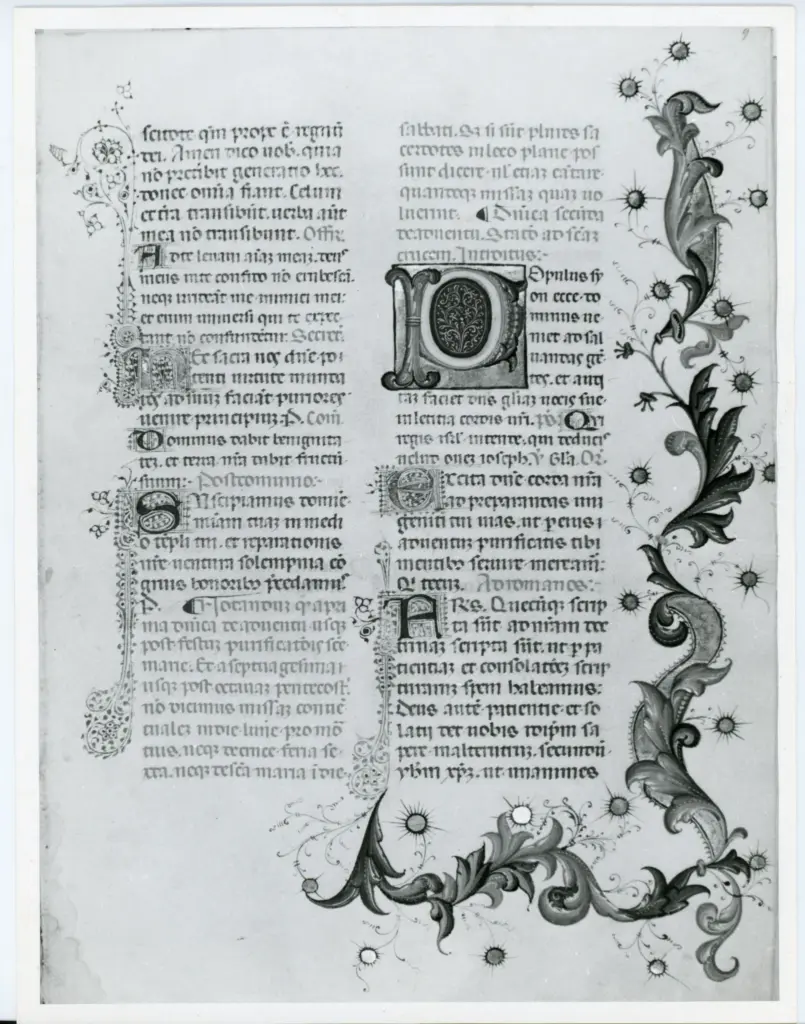 Anonimo italiano sec. XV , Pagina miniata, Fregio con motivi vegetali, Iniziale P, Iniziale decorata