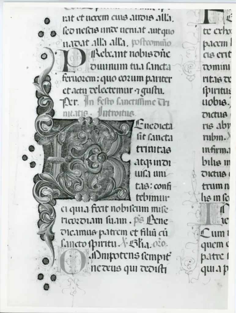 Universit&agrave; di Pisa. Dipartimento di Storia delle Arti , Anonimo italiano - sec. XV, ultimo quarto - Lucca, Biblioteca Capitolare Feliniana, Ms. 598, f. 183r, particolare , fronte