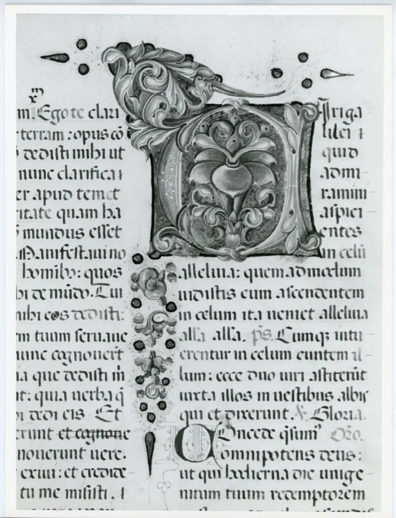 Universit&agrave; di Pisa. Dipartimento di Storia delle Arti , Anonimo italiano - sec. XV, ultimo quarto - Lucca, Biblioteca Capitolare Feliniana, Ms. 598, f. 171v, particolare , fronte