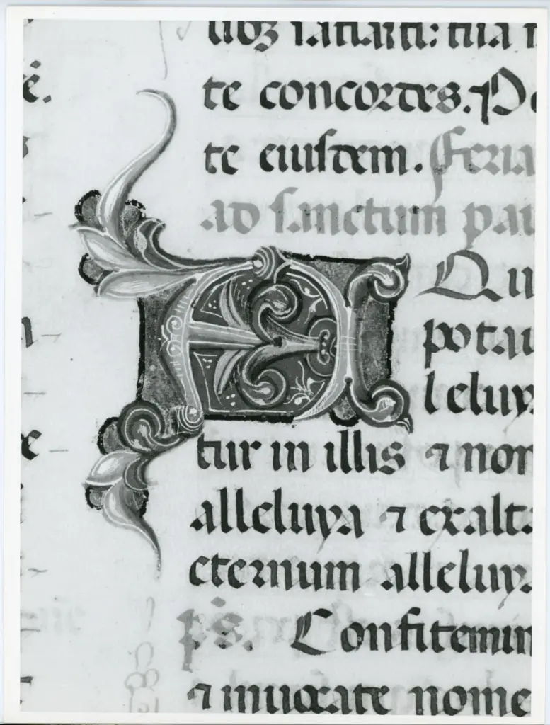 Università di Pisa. Dipartimento di Storia delle Arti , Anonimo italiano - sec. XV, ultimo quarto - Lucca, Biblioteca Capitolare Feliniana, Ms. 598, f. 167r, particolare , fronte