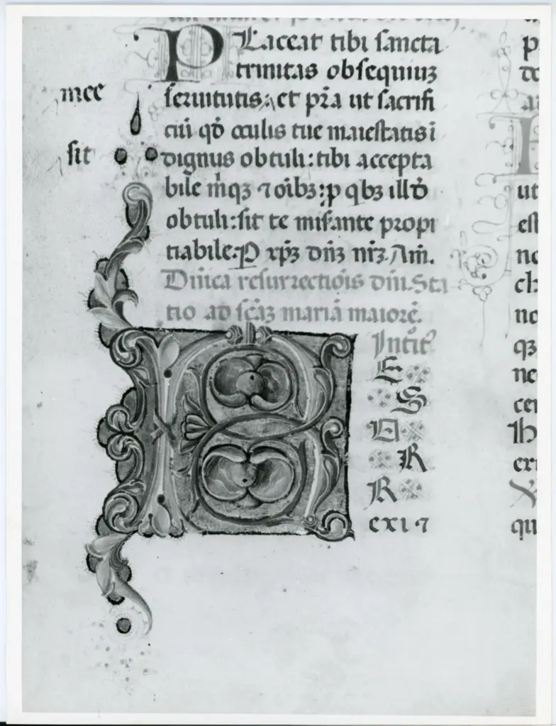 Universit&agrave; di Pisa. Dipartimento di Storia delle Arti , Anonimo italiano - sec. XV, ultimo quarto - Lucca, Biblioteca Capitolare Feliniana, Ms. 598, f. 159r, particolare , fronte