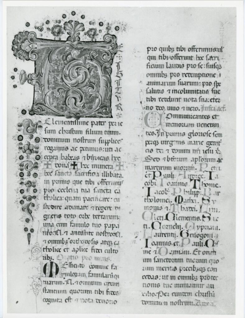 Anonimo italiano sec. XV , Iniziale T, Iniziale decorata, Motivi decorativi fitomorfi