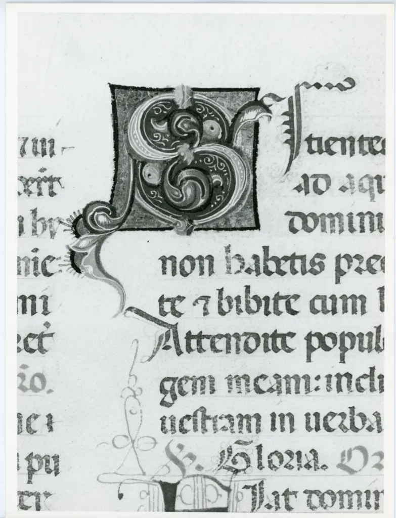 Universit&agrave; di Pisa. Dipartimento di Storia delle Arti , Anonimo italiano - sec. XV, ultimo quarto - Lucca, Biblioteca Capitolare Feliniana, Ms. 598, f. 77r, particolare , fronte