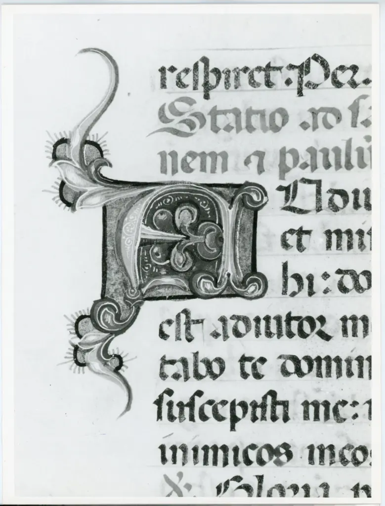 Universit&agrave; di Pisa. Dipartimento di Storia delle Arti , Anonimo italiano - sec. XV, ultimo quarto - Lucca, Biblioteca Capitolare Feliniana, Ms. 598, f. 33r, particolare , fronte