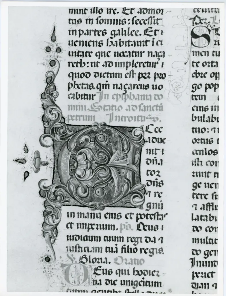 Universit&agrave; di Pisa. Dipartimento di Storia delle Arti , Anonimo italiano - sec. XV, ultimo quarto - Lucca, Biblioteca Capitolare Feliniana, Ms. 598, f. 25v, particolare , fronte