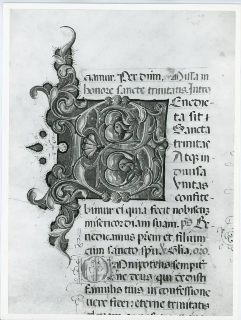 Universit&agrave; di Pisa. Dipartimento di Storia delle Arti , Anonimo italiano - sec. XV, ultimo quarto - Lucca, Biblioteca Capitolare Feliniana, Ms. 598, f. 293v, particolare , fronte