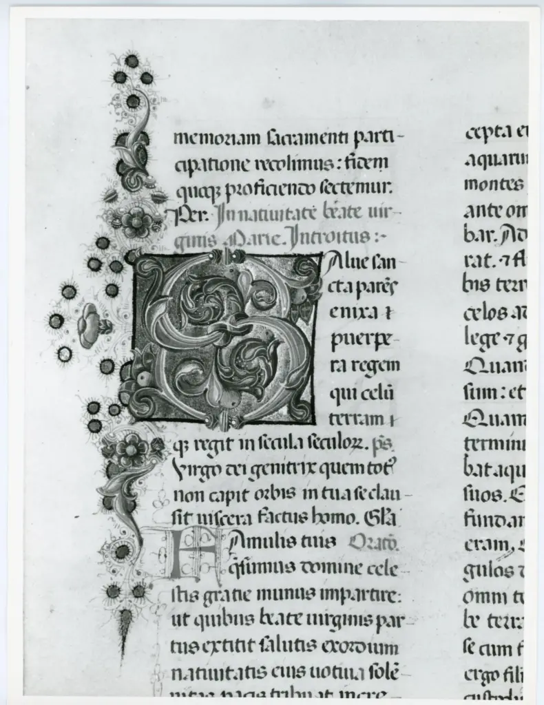 Universit&agrave; di Pisa. Dipartimento di Storia delle Arti , Anonimo italiano - sec. XV, ultimo quarto - Lucca, Biblioteca Capitolare Feliniana, Ms. 598, f. 254v, particolare , fronte