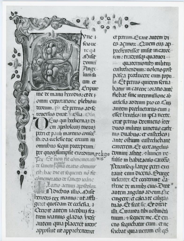 Università di Pisa. Dipartimento di Storia delle Arti , Anonimo italiano - sec. XV, ultimo quarto - Lucca, Biblioteca Capitolare Feliniana, Ms. 598, f. 237r, particolare , fronte