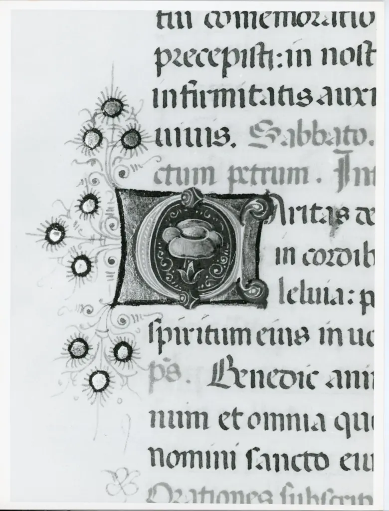 Università di Pisa. Dipartimento di Storia delle Arti , Anonimo italiano - sec. XV, ultimo quarto - Lucca, Biblioteca Capitolare Feliniana, Ms. 598, f. 181r, particolare , fronte