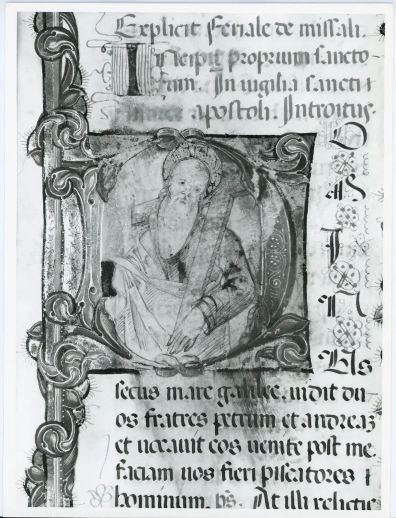 Università di Pisa. Dipartimento di Storia delle Arti , Anonimo italiano - sec. XV, ultimo quarto - Lucca, Biblioteca Capitolare Feliniana, Ms. 598, f. 210r, particolare , fronte