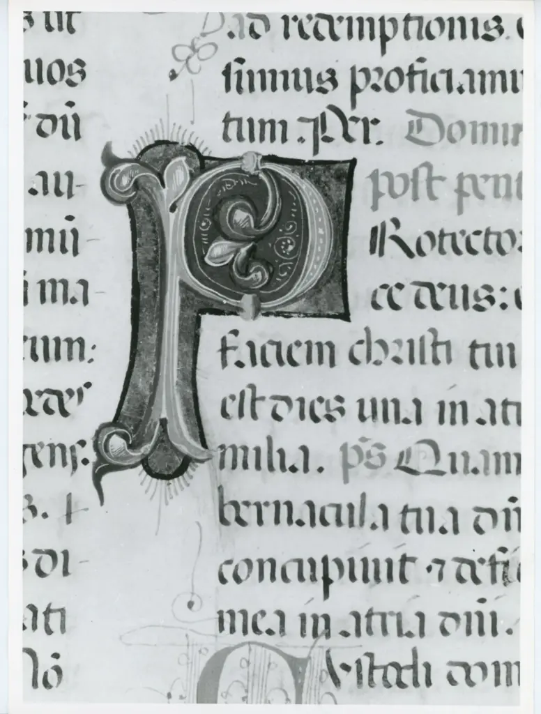Università di Pisa. Dipartimento di Storia delle Arti , Anonimo italiano - sec. XV, ultimo quarto - Lucca, Biblioteca Capitolare Feliniana, Ms. 598, f. 196r, particolare , fronte
