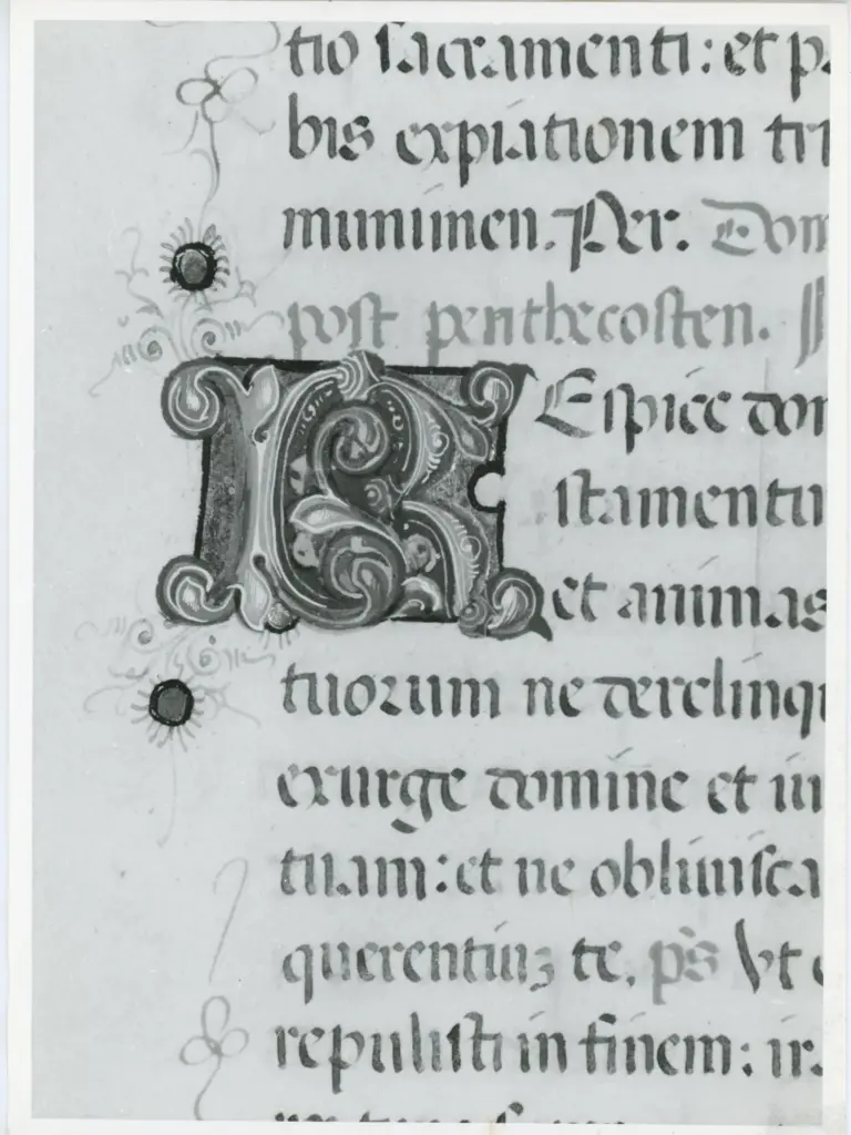 Università di Pisa. Dipartimento di Storia delle Arti , Anonimo italiano - sec. XV, ultimo quarto - Lucca, Biblioteca Capitolare Feliniana, Ms. 598, f. 195v, particolare , fronte