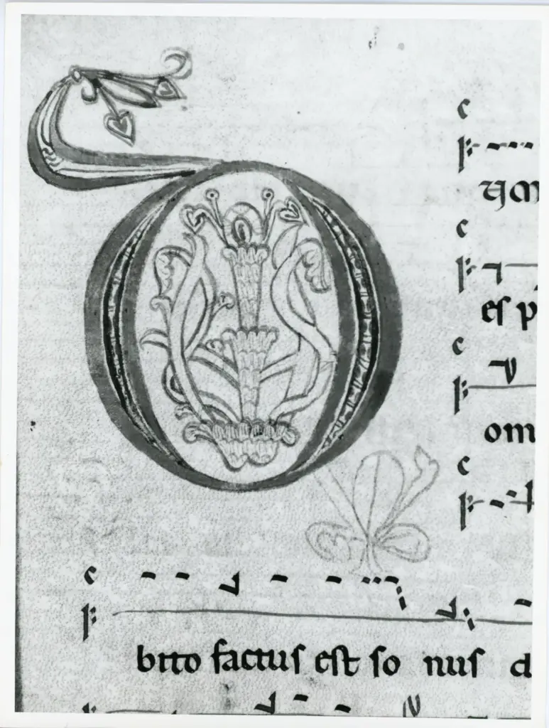 Universit&agrave; di Pisa. Dipartimento di Storia delle Arti , Anonimo italiano - sec. XIII, prima met&agrave; - Lucca, Biblioteca Capitolare Feliniana, Ms. 599, f. 160r, particolare , fronte