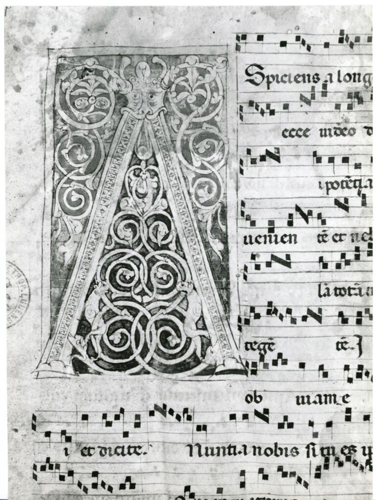 Anonimo italiano sec. XIII , Iniziale A, Iniziale decorata, Motivi decorativi vegetali e animali, Notazione musicale