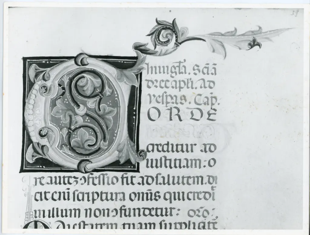 Universit&agrave; di Pisa. Dipartimento di Storia delle Arti , Anonimo italiano - sec. XIII, met&agrave; - Lucca, Biblioteca Capitolare Feliniana, Ms. 610, f. 39r, particolare , fronte