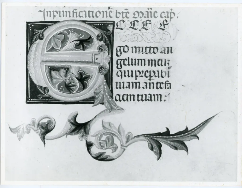 Università di Pisa. Dipartimento di Storia delle Arti , Anonimo italiano - sec. XIII, metà - Lucca, Biblioteca Capitolare Feliniana, Ms. 610, f. 45r, particolare , fronte