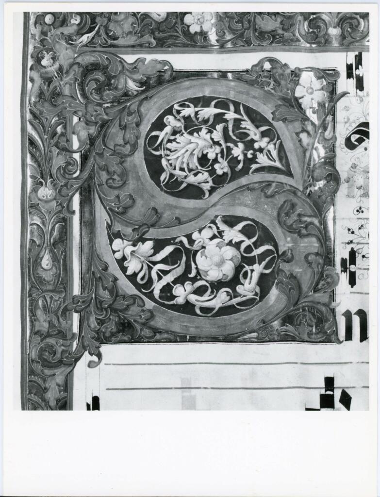 Anonimo italiano sec. XV , Cornice con motivi decorativi fitomorfi, Iniziale S, Iniziale decorata