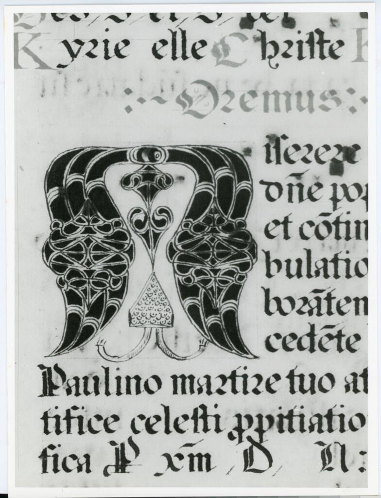 Università di Pisa. Dipartimento di Storia delle Arti , Anonimo italiano - 1568 - Lucca, Biblioteca Capitolare Feliniana, Ms. 625, f. 47r, particolare , fronte