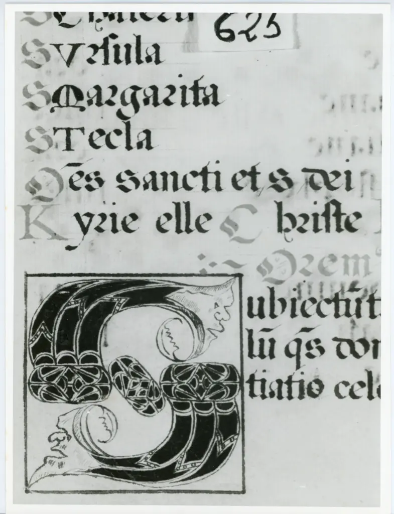 Anonimo italiano sec. XVI , Iniziale S, Iniziale figurata, Testa grottesca